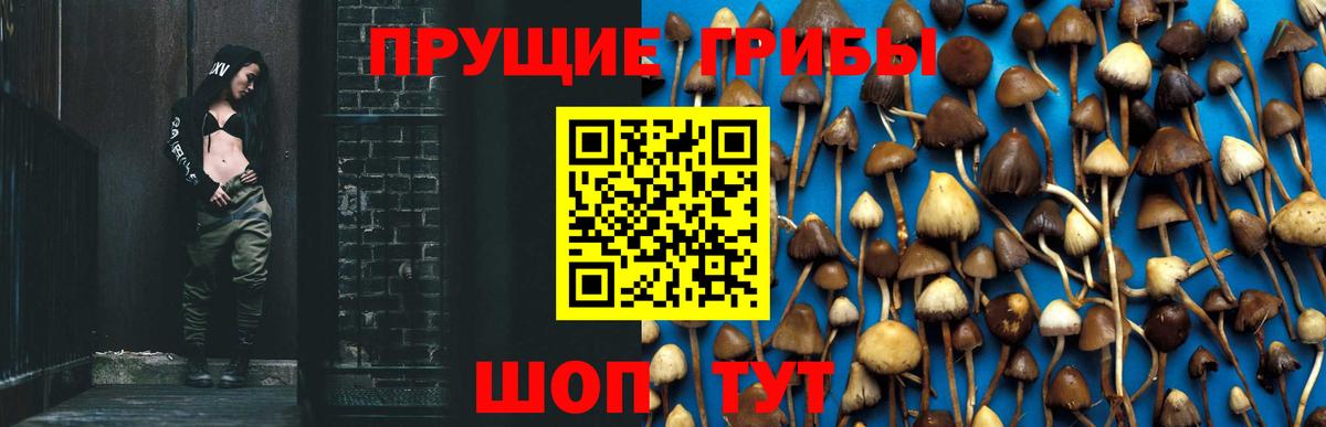 даркнет сайт  Галлюциногенные грибы MAGIC MUSHROOMS  Вход с VPN  Фрязино 