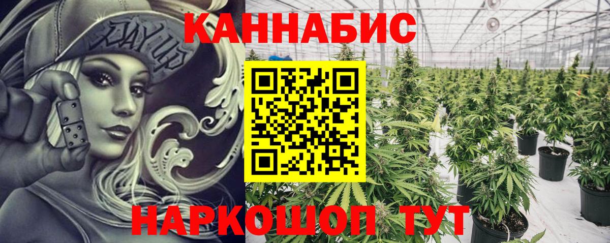 Бошки марихуана марихуана  Вход с VPN  Фрязино  Бошки Шишки тримм  МАРИХУАНА Bruce Banner 